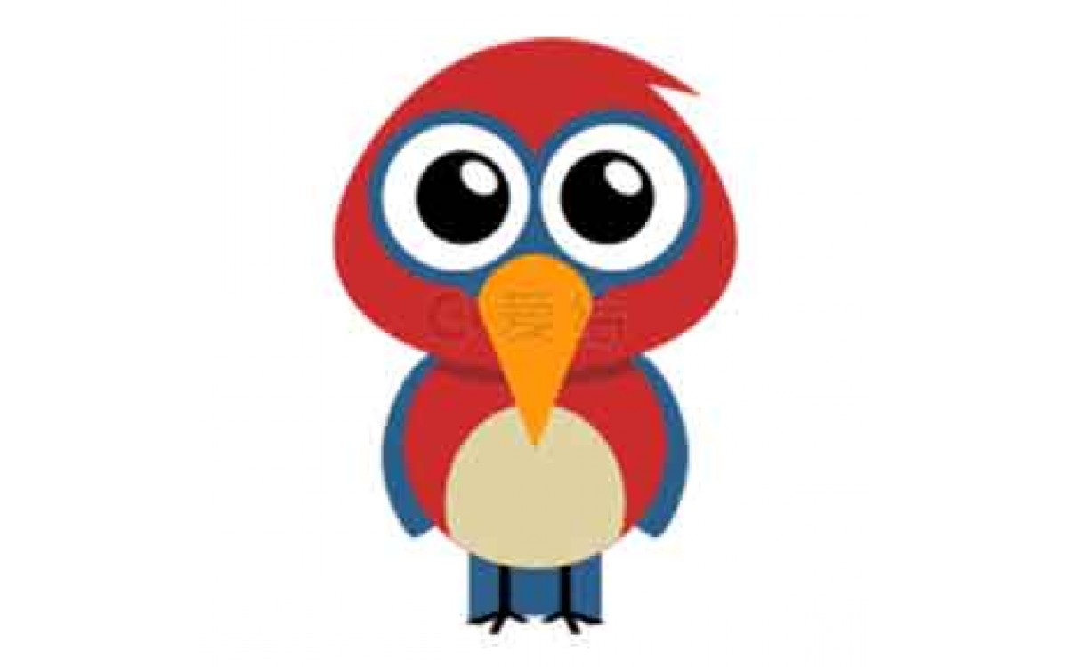Bird Bird