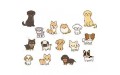 Small Pet (1) Small Pet (1)