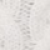 white-01