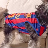 Short Rugby Jersey