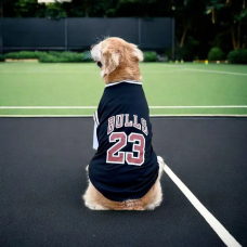 Modern Sports Jersey