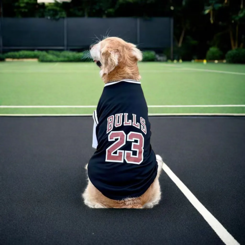 Modern Sports Jersey