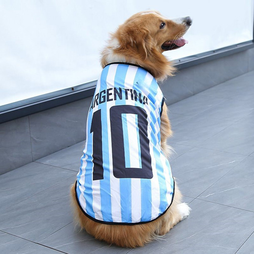 Dynamic Training Jersey