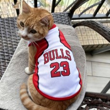 Style Sports Jersey