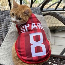 Ultra Sports Jersey