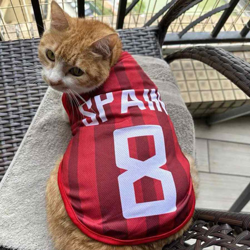 Ultra Sports Jersey