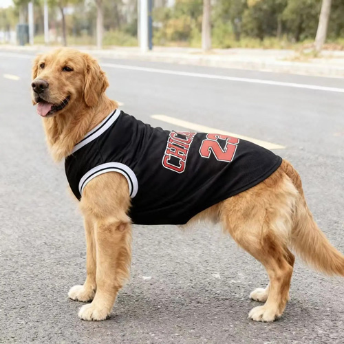 Base Training Jersey