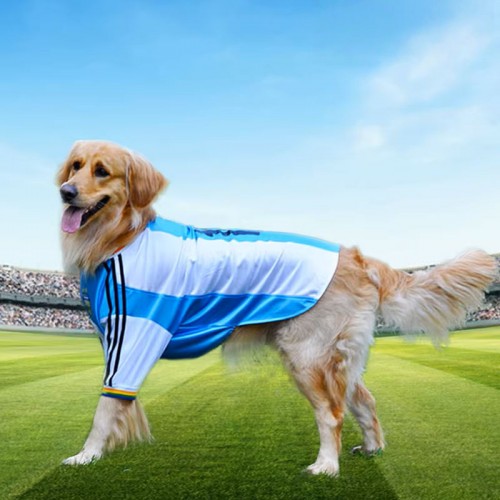 Plus Sports Jersey
