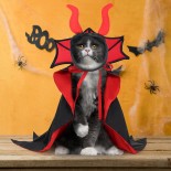 Polyester Casual Cat Halloween Costume