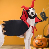 Festive Pet Costume Set for Halloween and Christmas