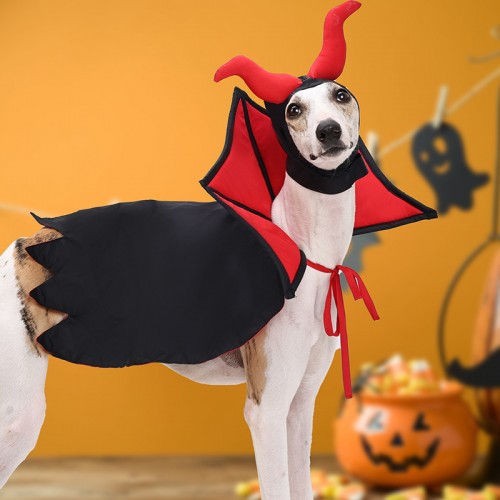 Festive Pet Costume Set for Halloween and Christmas