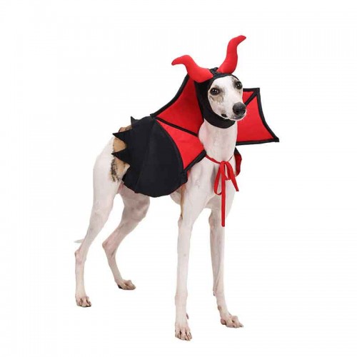 Halloween Pet Vampire Cape and Hat Costume