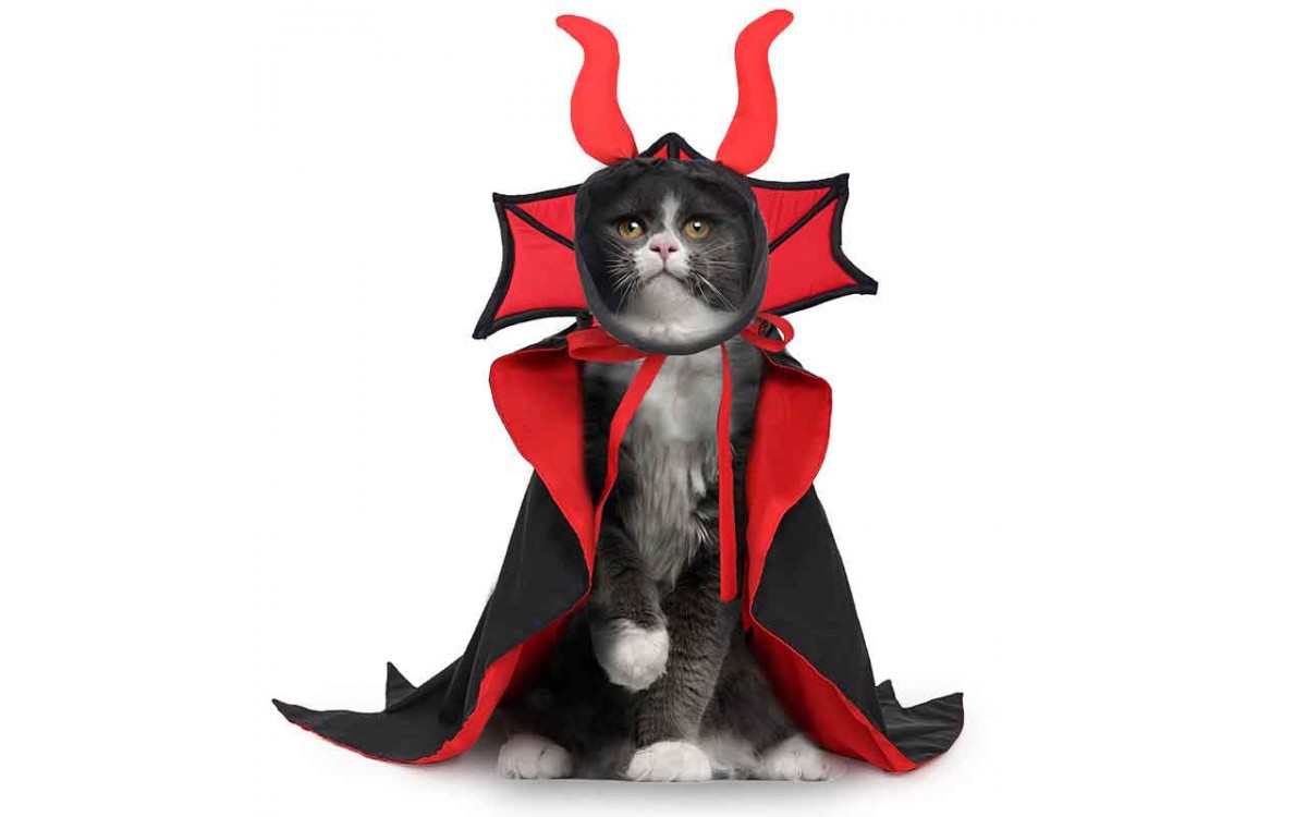 Halloween Cat Vampire Cape and Hat Costume