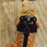 Eco Leather Lizard Harness Set – LovelyPetpal Reptile Outdoor Vest with Leash