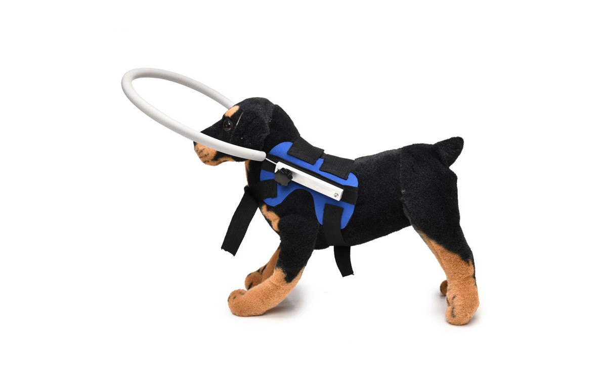 Blind Dog Harness with Protective Halo