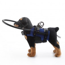 Adjustable Blind Dog Bumper Harness for Indoor Safety – LovelyPetPal
