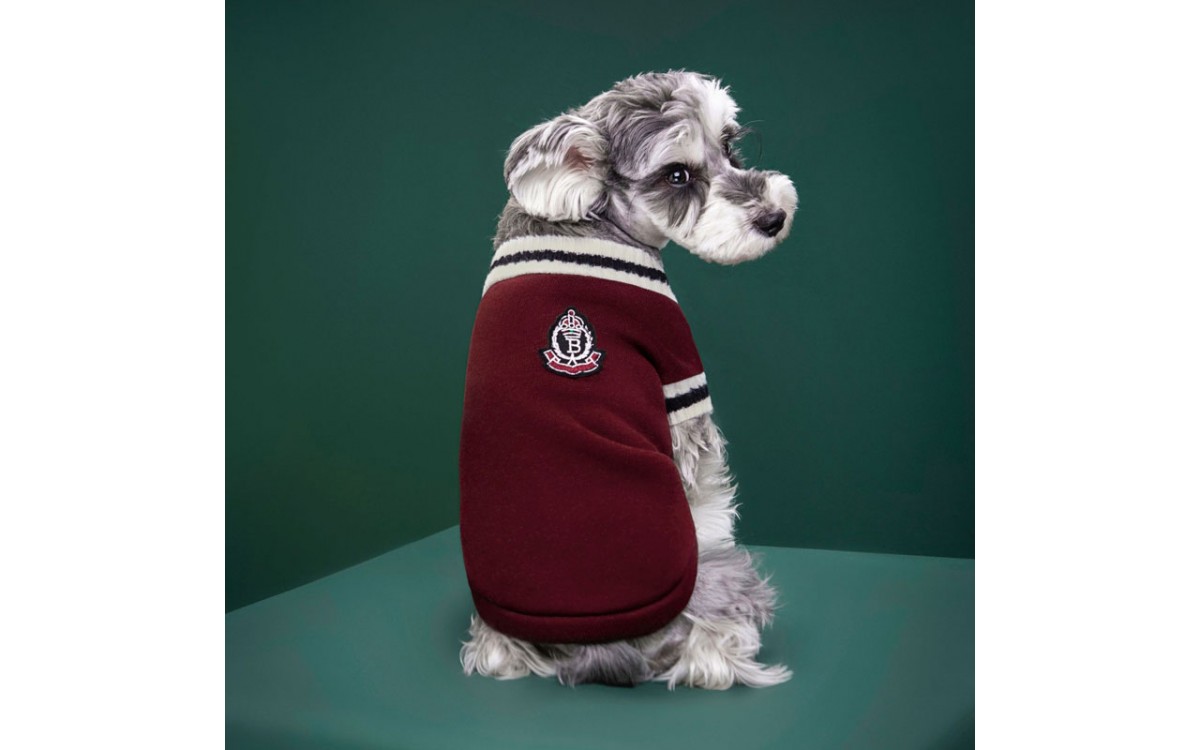 Preppy Knit dog Vest - Soft V-Neck Sweater for Autumn and Winter