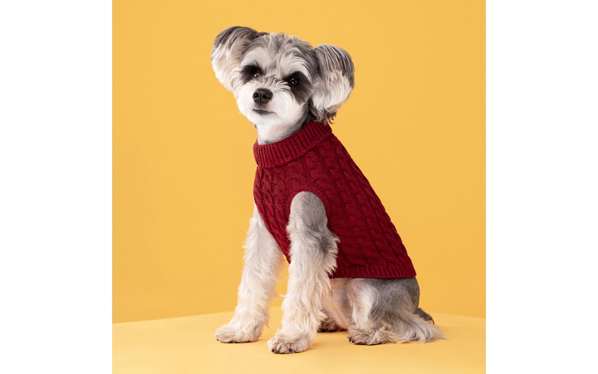 Candy-Colored Knitted Sweater for Small Pets